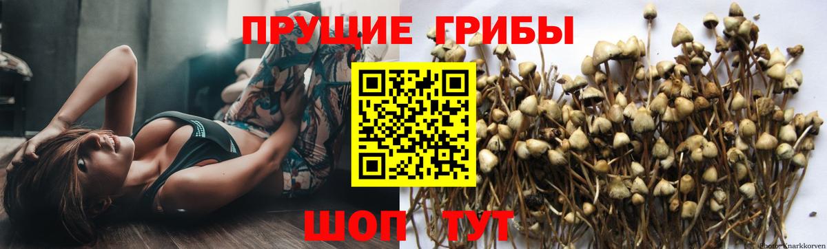 Нижнеудинск  Псилоцибиновые грибы MAGIC MUSHROOMS  Вход с VPN 